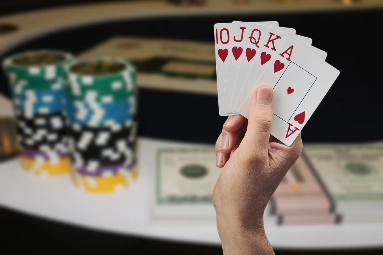 mansioncasino Lo que debes saber antes de jugar